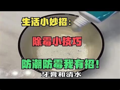 如何去除發霉|10招除霉小技巧．擺脫滿屋子霉氣